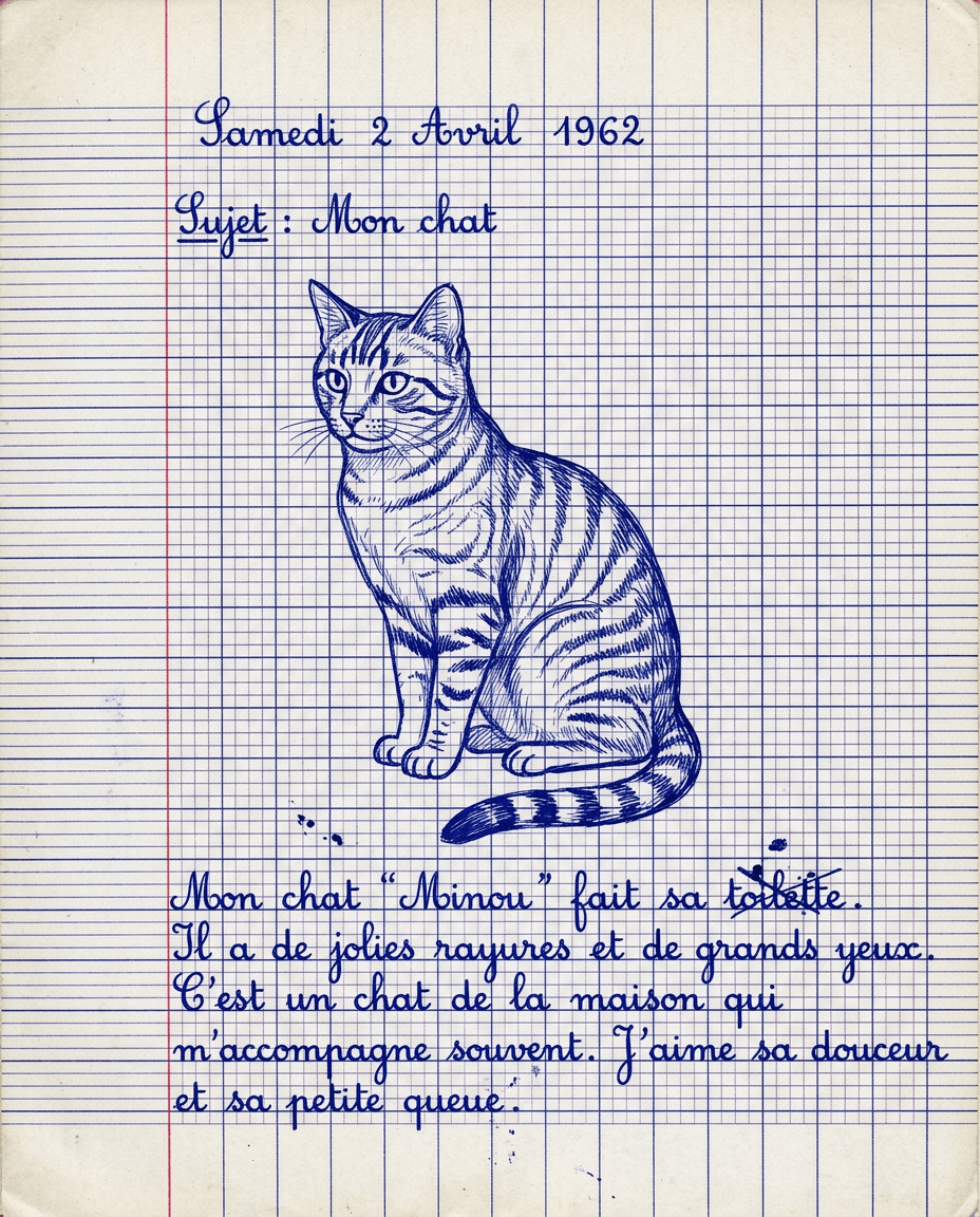 Chat Cahier d'ecolier