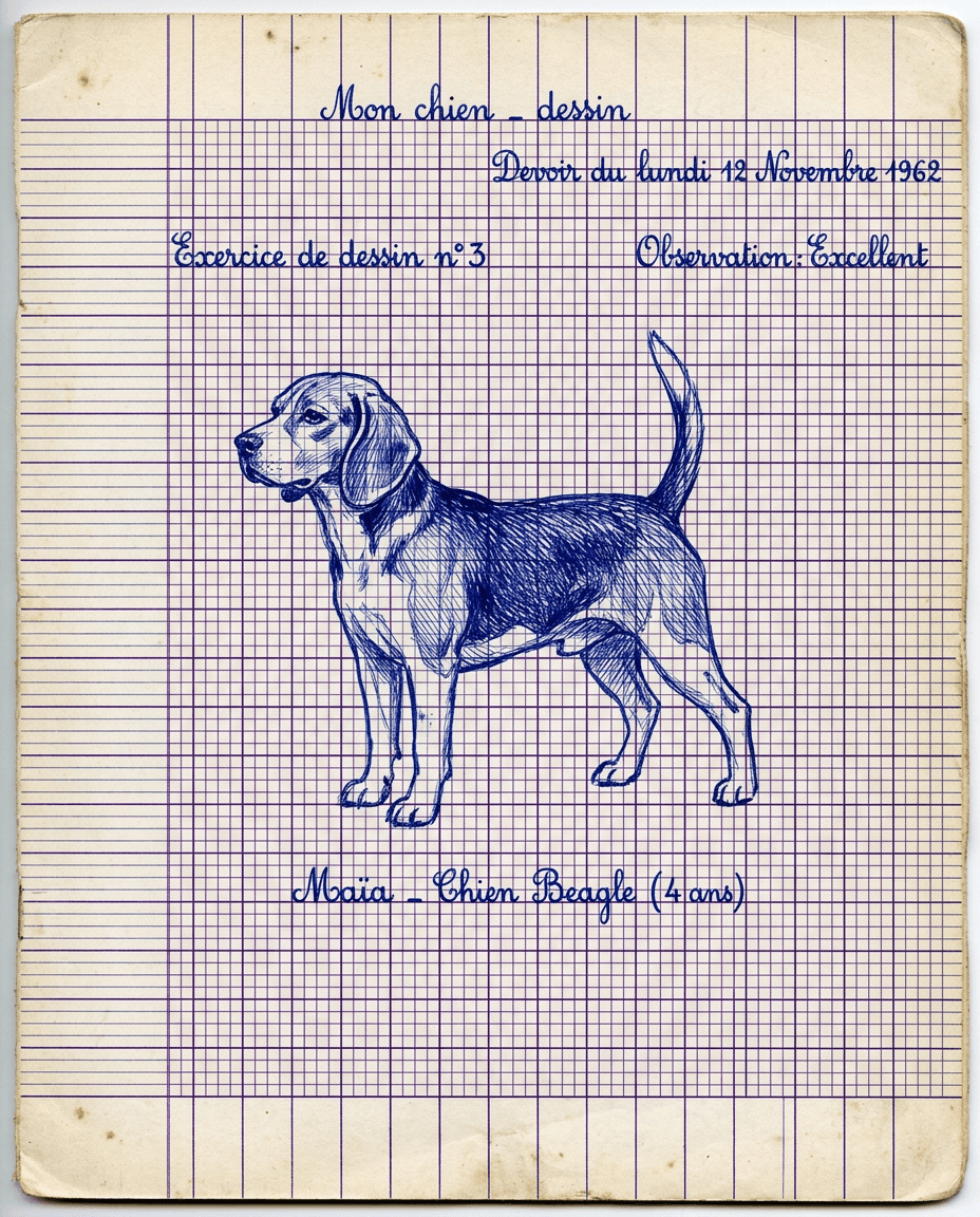 Portrait Cahier d'ecolier d'un chien