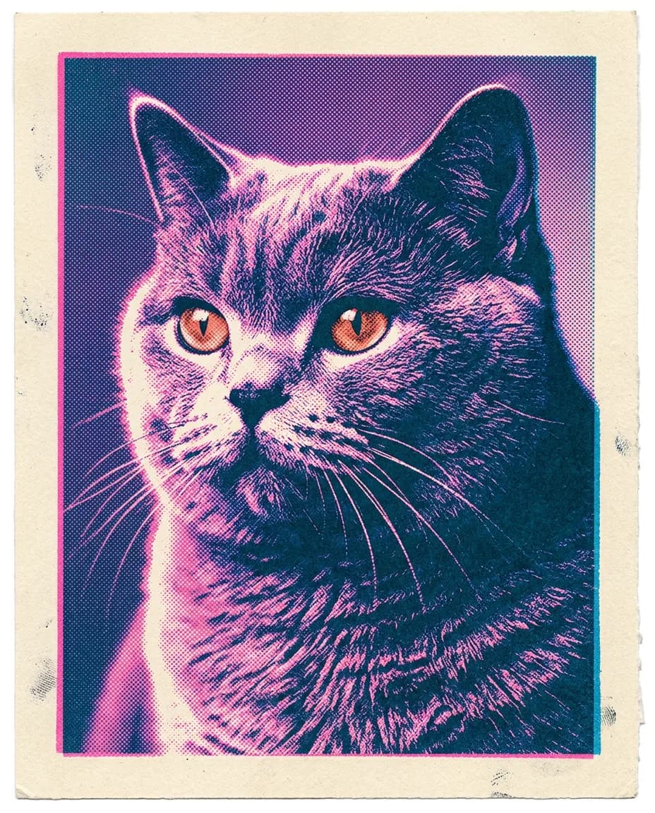 Chat Riso print duotone