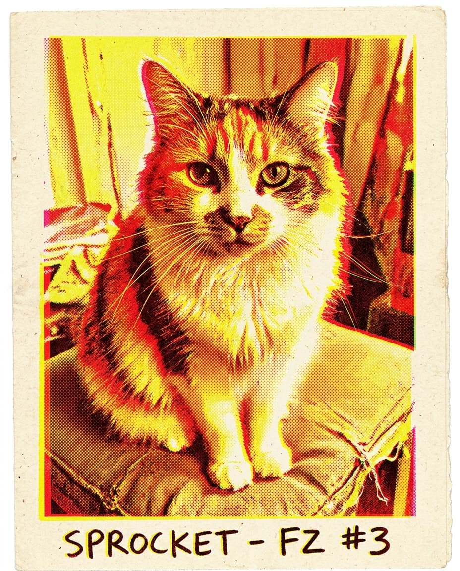 Chat Riso print duotone