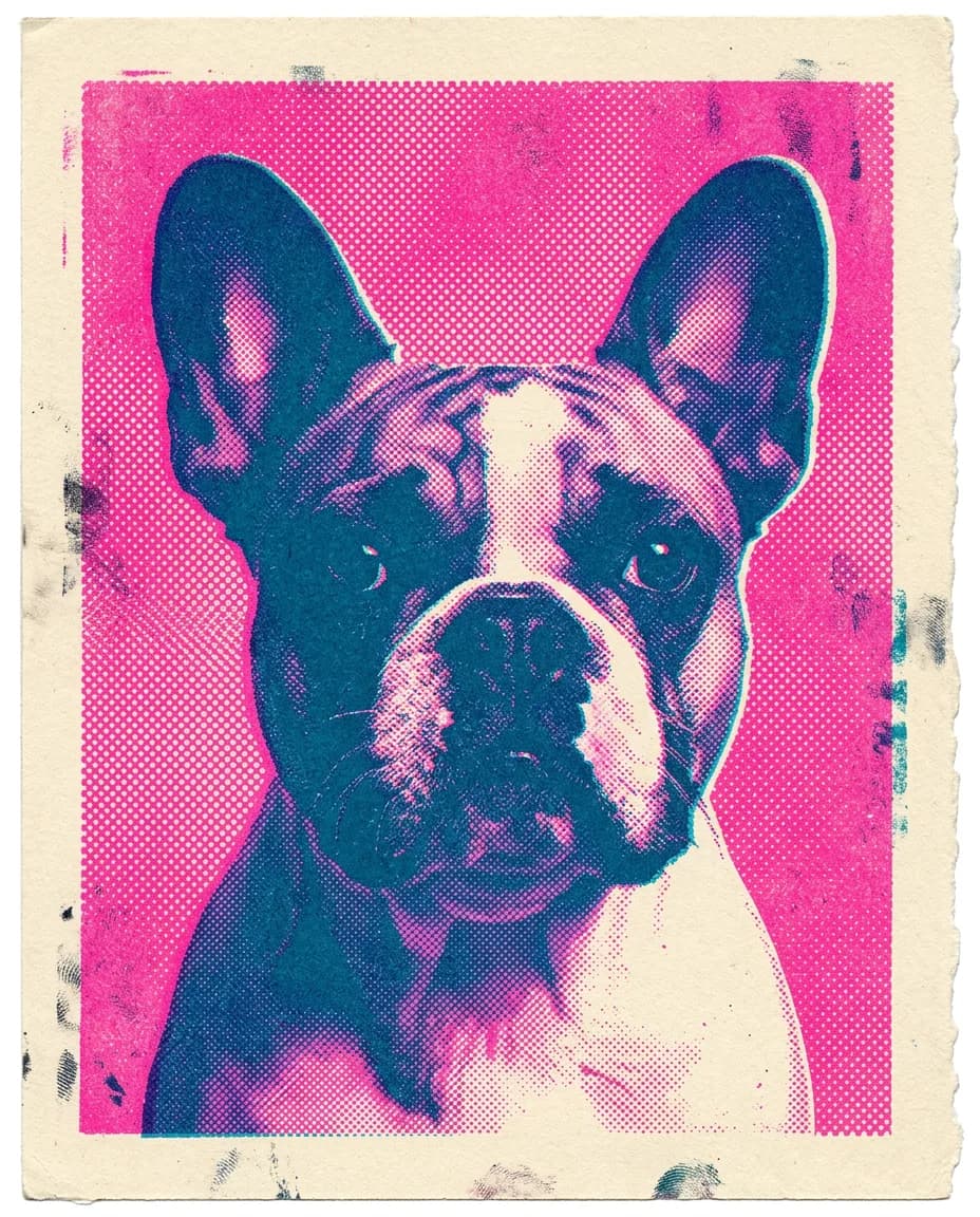 Portrait Riso print duotone d'un chien